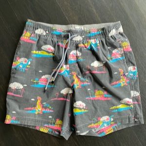 Party Pants men’s swimsuit